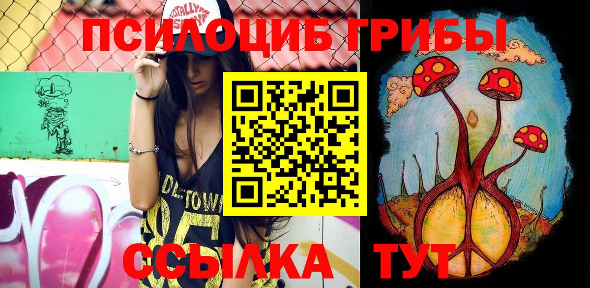 Псилоцибиновые грибы Cubensis Тихорецк