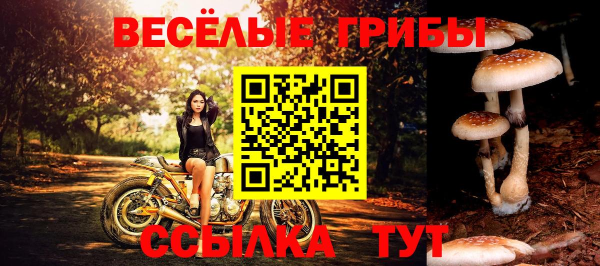 Тихорецк  Псилоцибиновые грибы мухоморы  Галлюциногенные грибы Psilocybe  Вход с VPN 
